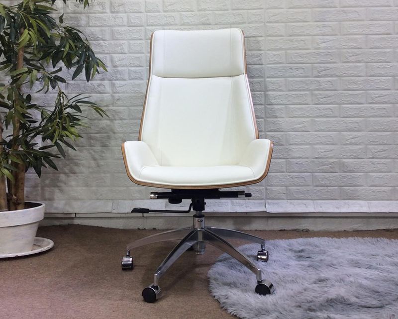 Ofix Premium H10 Bentwood Office Chair (White, Grey)