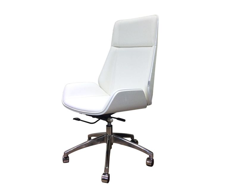 Ofix Premium H10 Bentwood Office Chair (White, Grey)