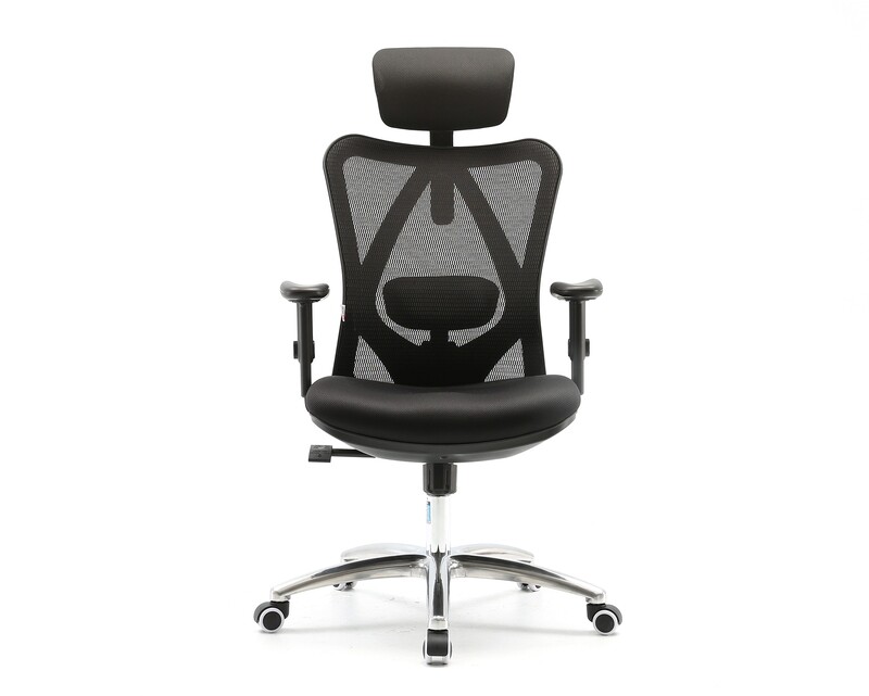 Sihoo M18 High Back Mesh Chair  (2D Lumbar Support)(Black)  (2 Years Warranty)