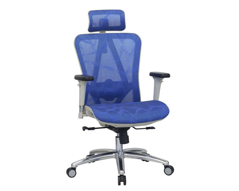 Ofix Deluxe-D57 XTM Full Mesh Chair with Seat Slide  Aluminum Base, 2D Lumbar Support &amp; 3D Armrest Office Chair (Blue) (1 Year Warranty)