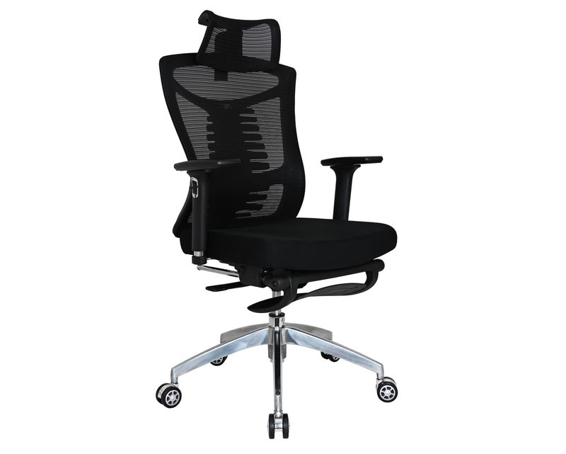 Ofix   Premium X18 PRO /  Premium X18F PRO Bionic Spine Support 3D Armrest Office Chair (Black)