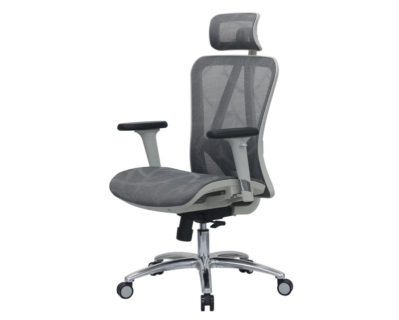XTM Deluxe-D57 XTM Full Mesh Chair with Seat Slide  Aluminum Base, 2D Lumbar Support &amp; 3D Armrest Office Chair (Grey) (2 Year Warranty)