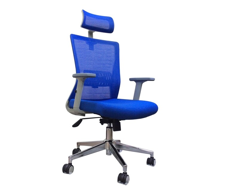 Ofix Deluxe-D79 Adjustable Headrest/Lumbar Support High Density Foam High Back Chair (Grey, Blue)