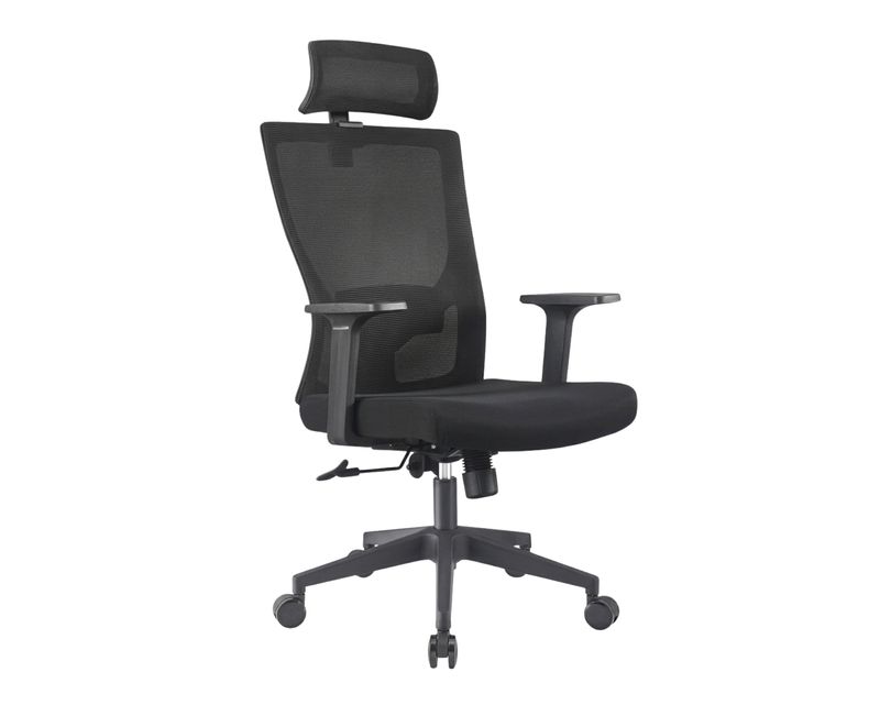 Ofix Deluxe-S87 (Fixed Armrest / 3D Armrest) (Mid Back / High Back) Mesh Chair (Black)