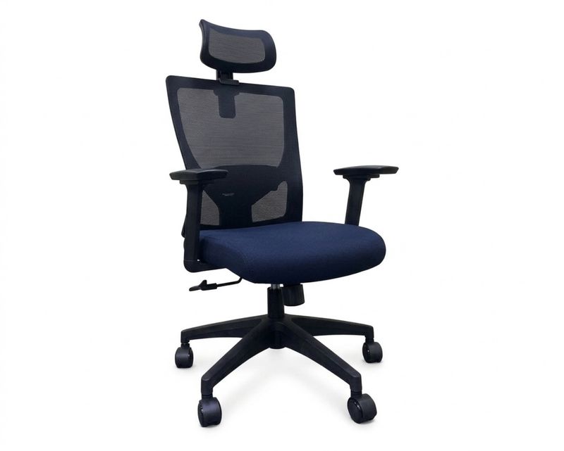 Ofix Deluxe-S87 (Fixed Armrest / 3D Armrest) (Mid Back / High Back) Mesh Chair (Black)