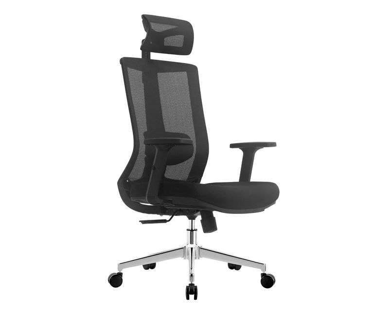 OFX S16 v2 Ergonomic Office Gaming Chair (2D Lumbar Support) (Black) (3 Years Warranty)
