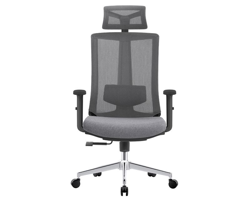 OFX S16 v2 Ergonomic Office Gaming Chair (2D Lumbar Support) (Blue, Grey) (3 Years Warranty)