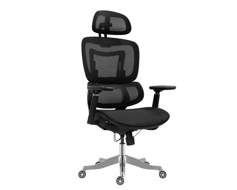 XTM Premium-100 Ergonomic Office Chair (2D Lumbar Support, 3D Headrest, 4D Armrest, With Seat Slide) (Black) (2 Years Warranty)