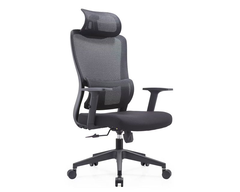 Ofix Premium M-03 with Adjustable Headrest/Lumbar Support 1D Armrest High Back Mesh Chair (Black)