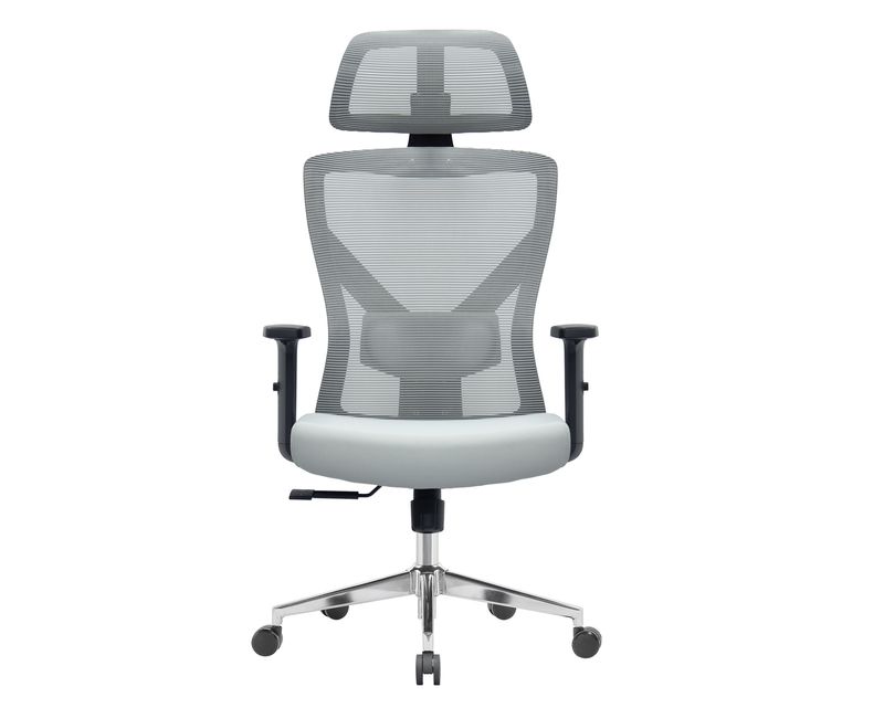 Ofix Premium Aleya Ergonomic Office Chair (2D Lumbar Support) (Grey)
