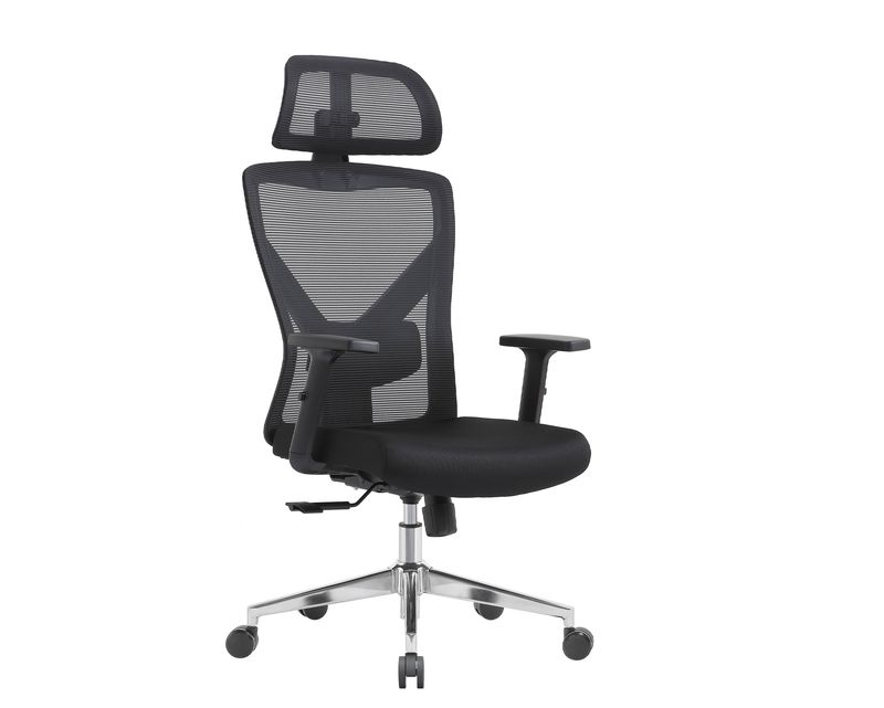 Ofix Premium Aleya Ergonomic Office Chair (2D Lumbar Support) (Black, Grey)