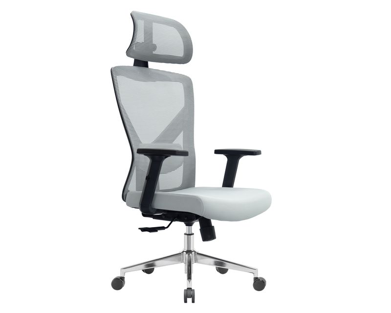 Ofix Premium Aleya Ergonomic Office Chair (2D Lumbar Support) (Grey)