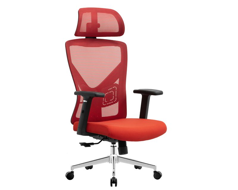 Ofix Premium Olga Ergonomic Office Chair (2D Lumbar Support) (Black, Red)