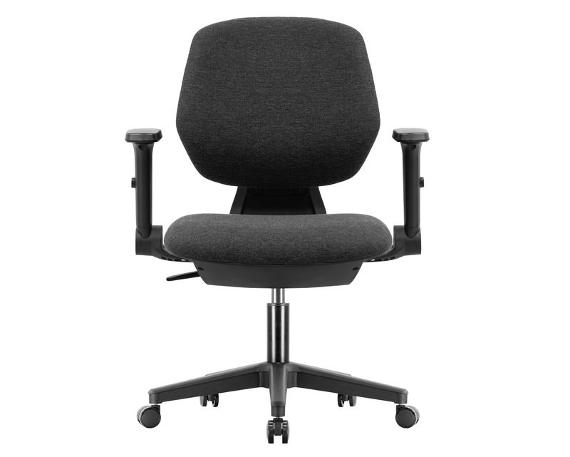 Ofix Deluxe Chaliz Ergonomic Office Chair (4D Armrest, 2D Lumbar Support) (Black)