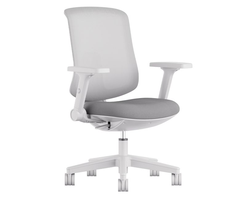 Ofix Deluxe Maxi / Deluxe Cozy Ergonomic Office Chair (4D Armrest, 2D Lumbar Support) (Black, Grey)