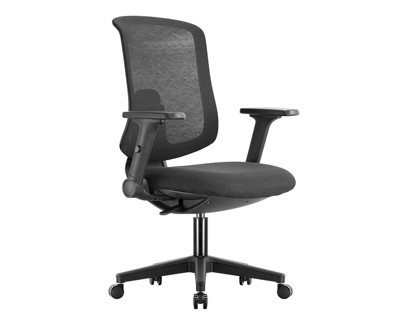 Ofix Deluxe Maxi / Deluxe Cozy Ergonomic Office Chair (4D Armrest, 2D Lumbar Support) (Grey, Black)