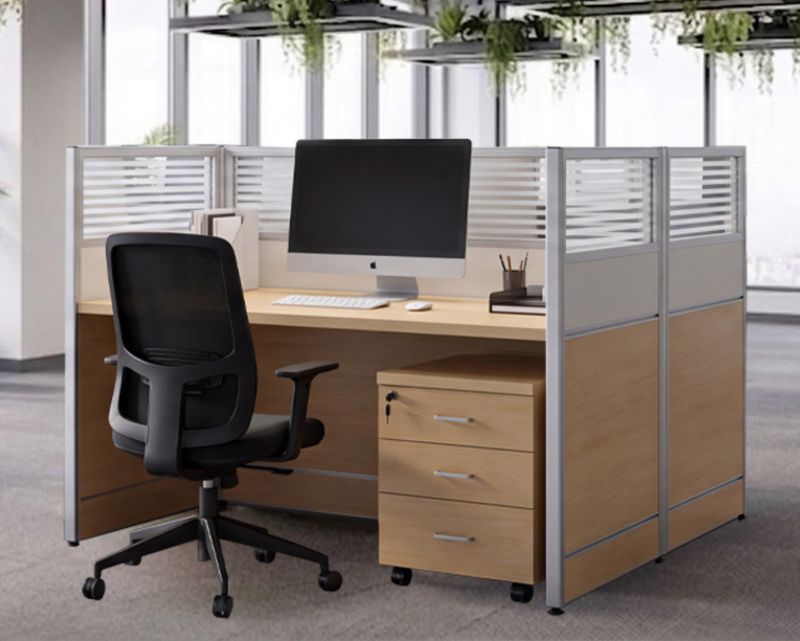 Ofix NO-12 2-Seater Workstation With Removable Drawer (Natural Wood) (Chair is Not Included)
