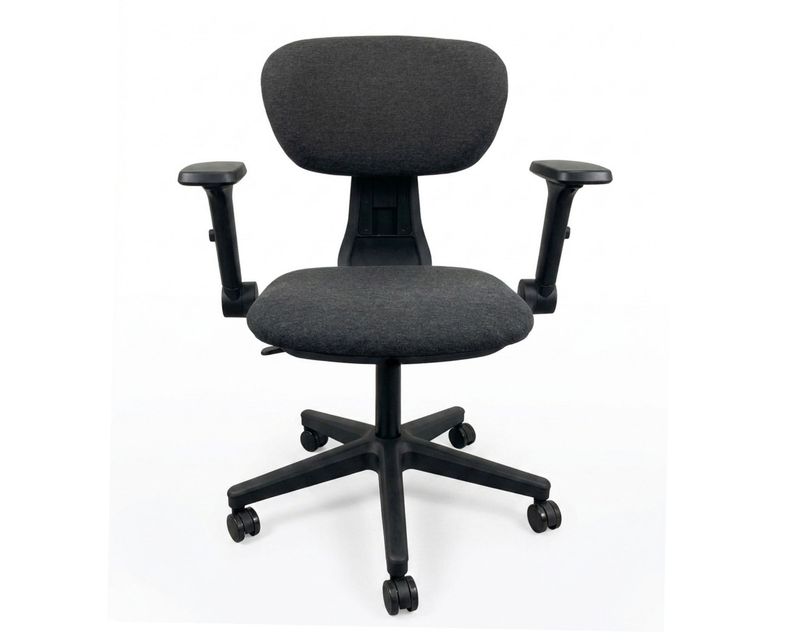 Ofix Deluxe Henry Ergonomic (PU Leather / Fabric) Office Chair (4D Armrest, 2D Lumbar Support) (Black)
