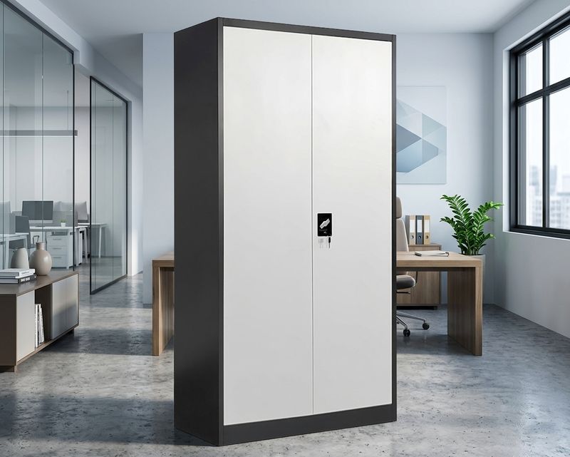 Ofix 5-Layer Shelves Metal Swing Door Steel Cabinet (White, Grey+White, Dark Grey+White)