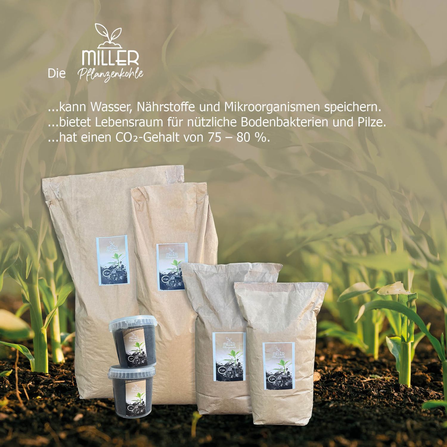Miller Pflanzenkohle für Terra Preta Bodenverbesserung Bodenaktivator hochwetige Premiumqualität ohne Zusätze