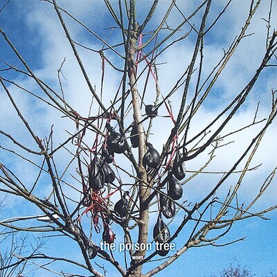 Moby – The Poison Tree