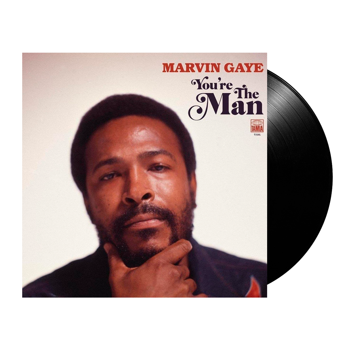Marvin Gaye - You&#39;re The Man