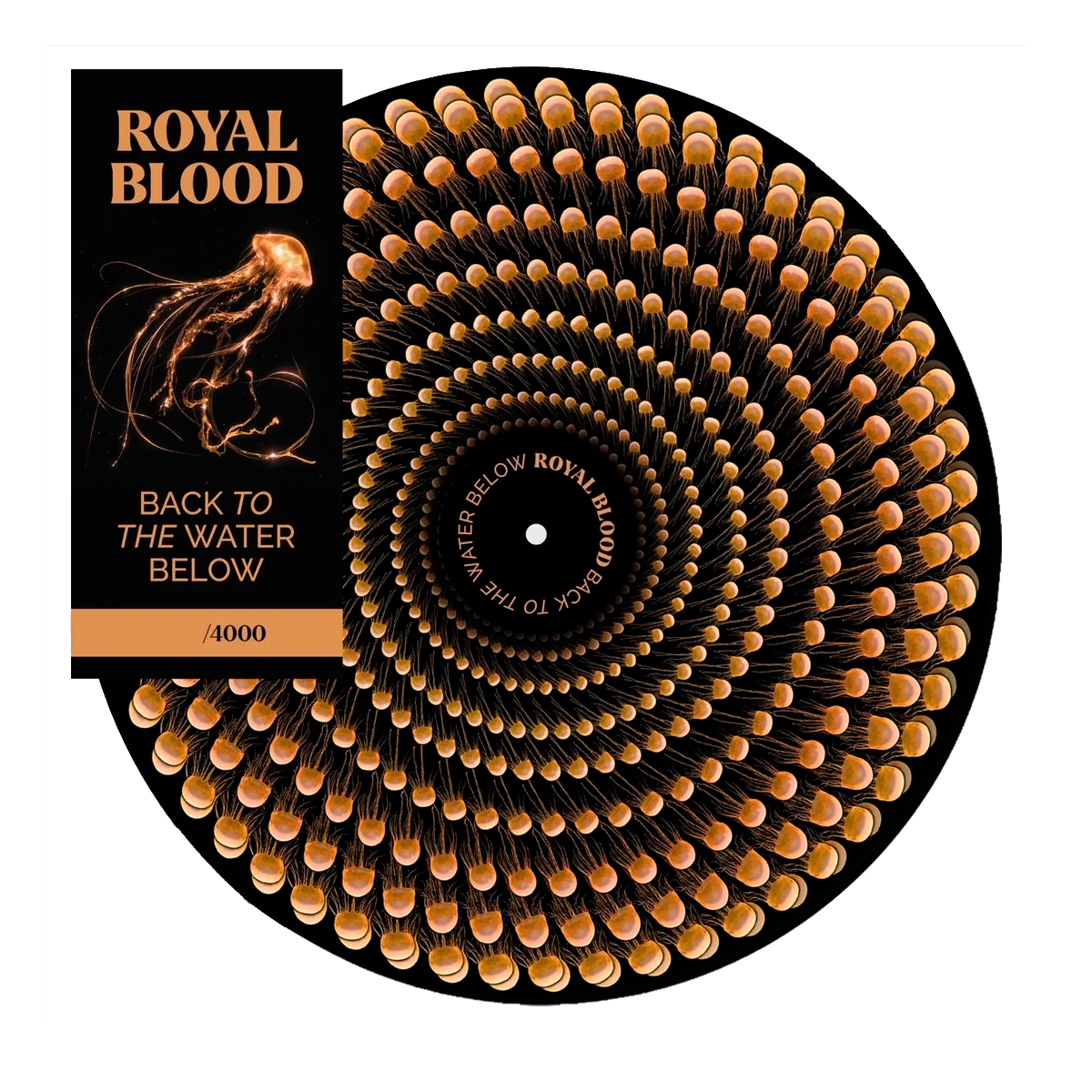 Royal Blood - Back To The Water Below (Zoetrope Edition)
