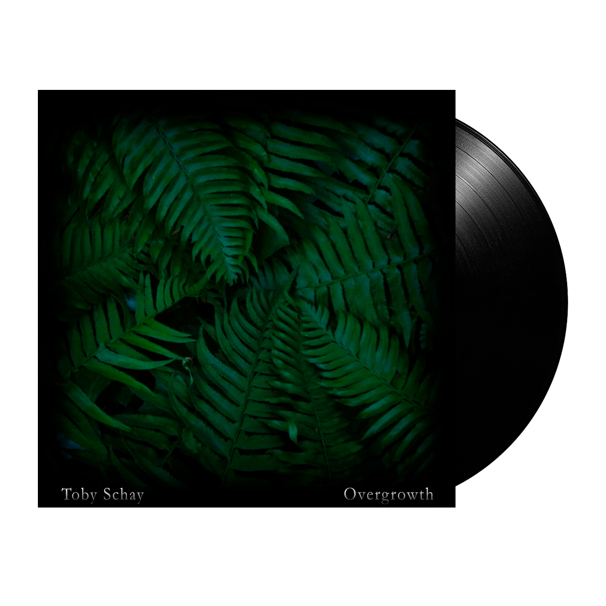 Toby Schay - Overgrowth