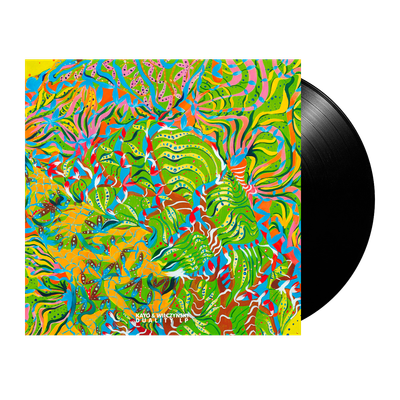 Kayo &amp; Wilczynski  - Duality