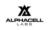 Online Store