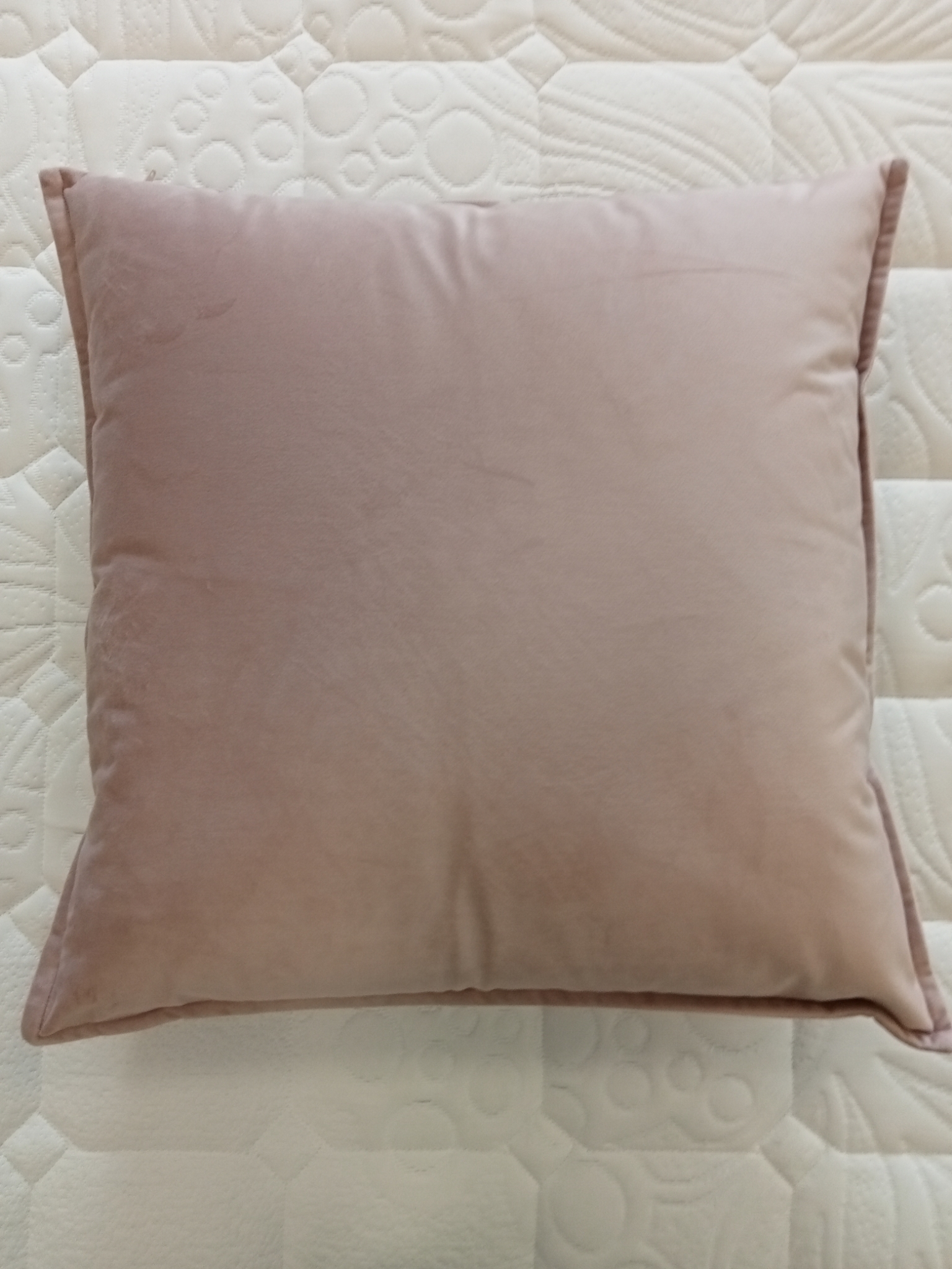 Cuscino Fascino velluto Fazzini 50 x 50 var. 12 rosa Lotus  1987/23