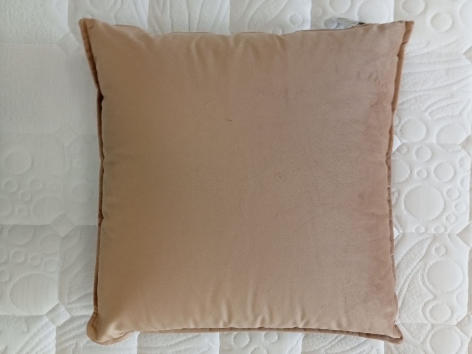 Cuscino arredo Fascino velluto Fazzini var. 4 tortora mis. 50 x 50