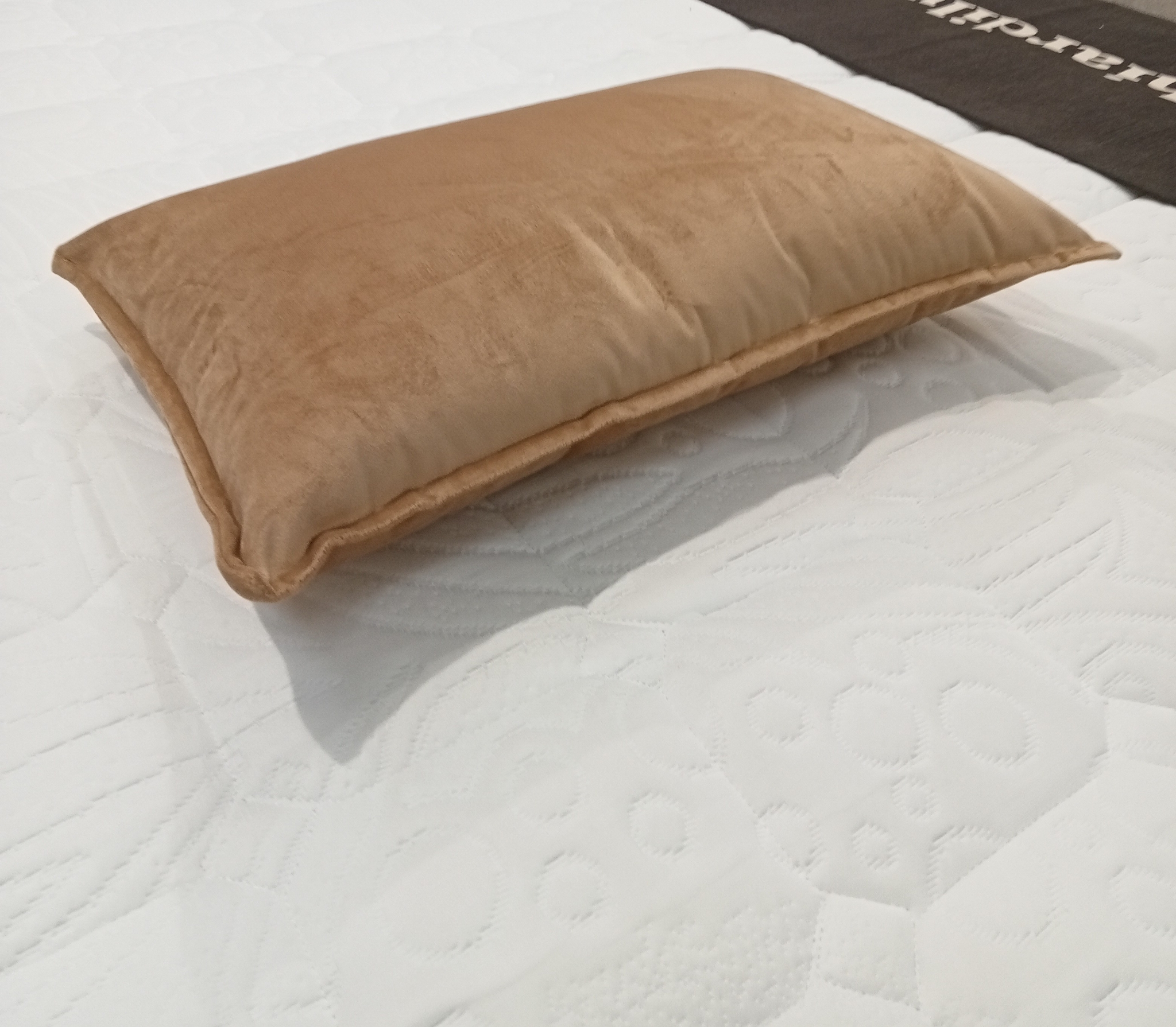 Cuscino arredo Fascino velluto Fazzini 30 x 50 var. 4 tortora