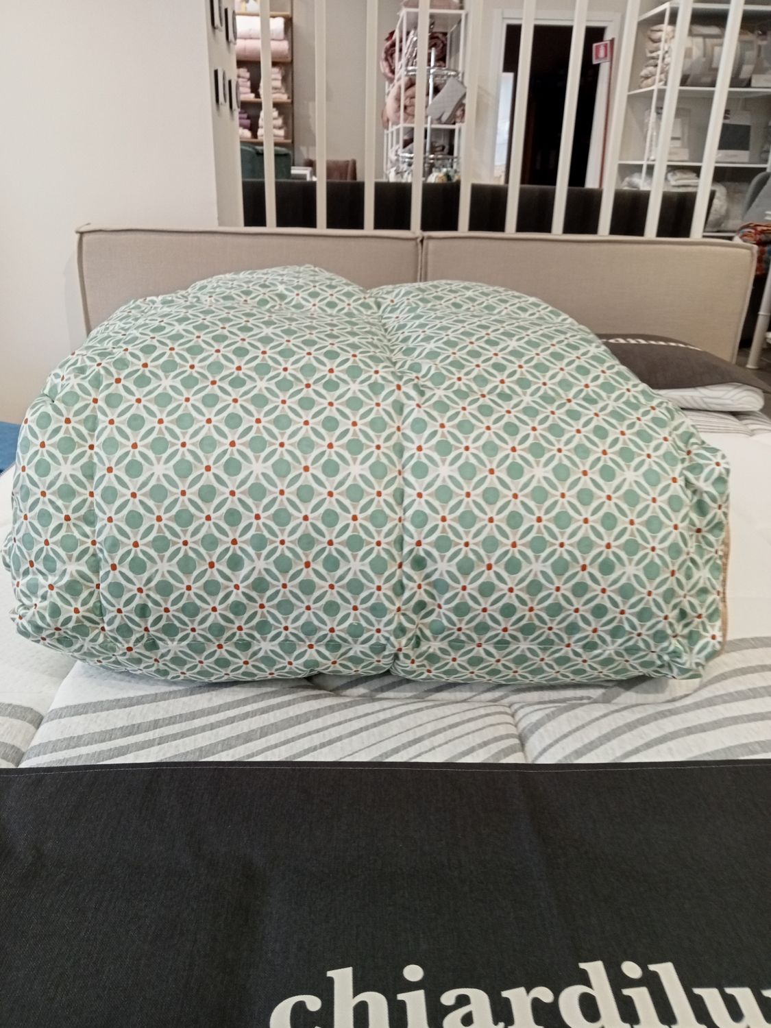 Trapunta 2 piazze in piuma d'oca Bellapiuma art. 45384 Daunen Step