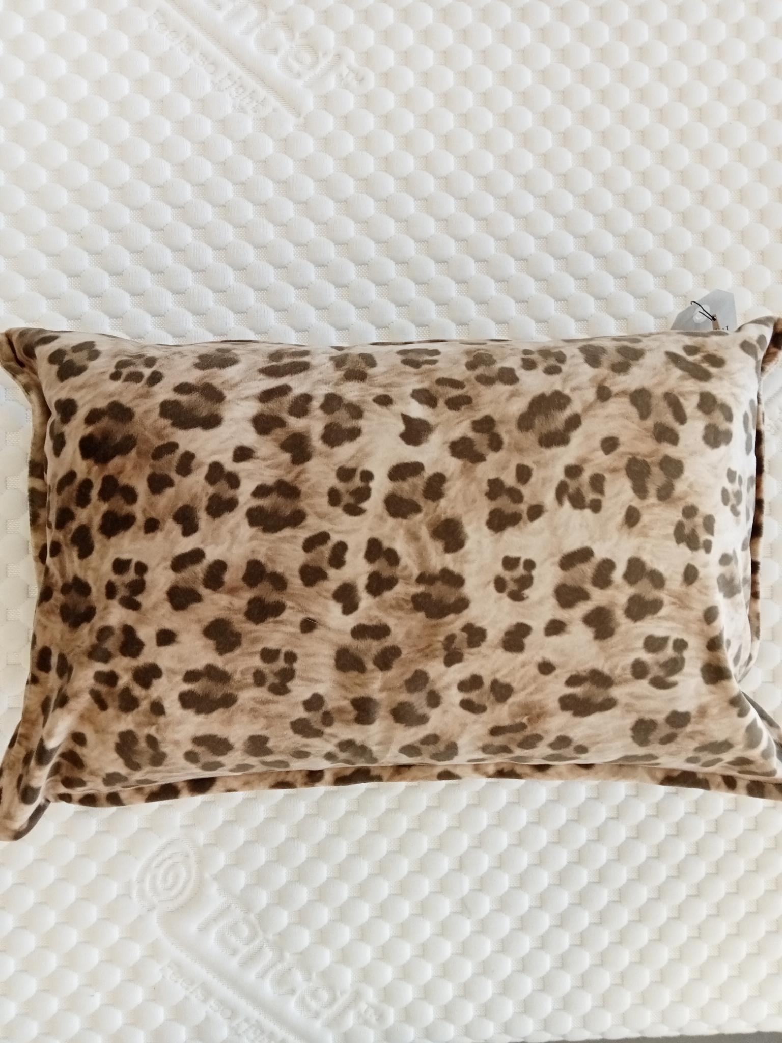 Cuscino velluto Tabby 30*50 var. 4 Fazzini  887/26