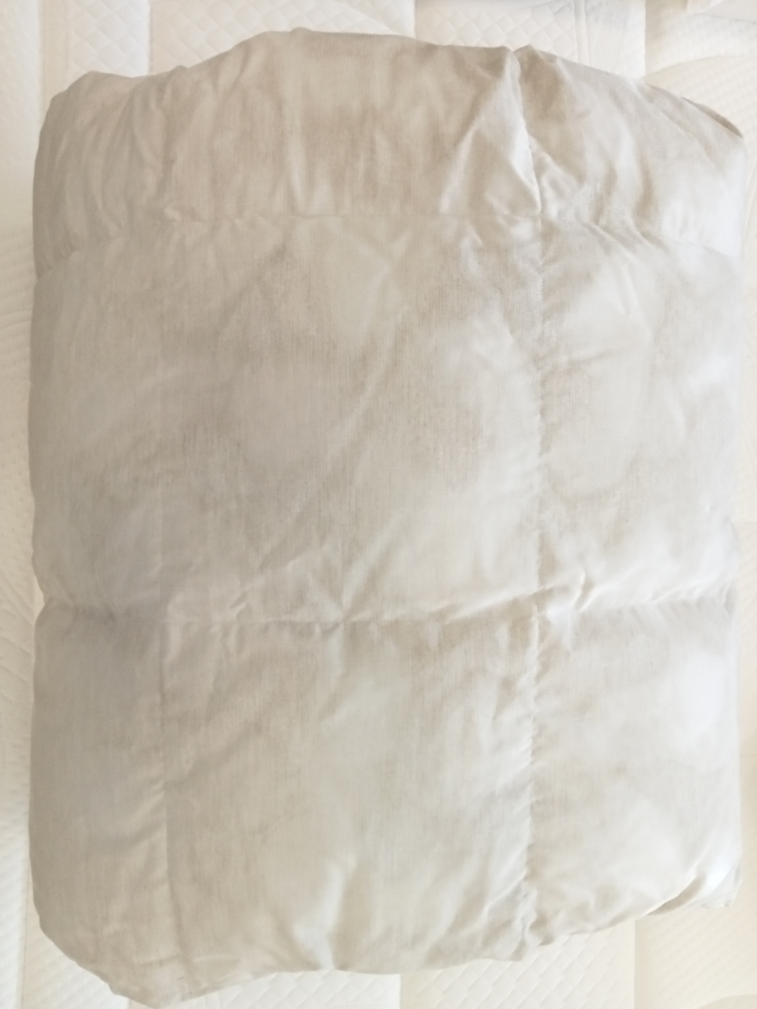 Piumone d'oca matrimoniale Bellapiuma Daunen Step art. 45277 tess. 14009B/intima 7053