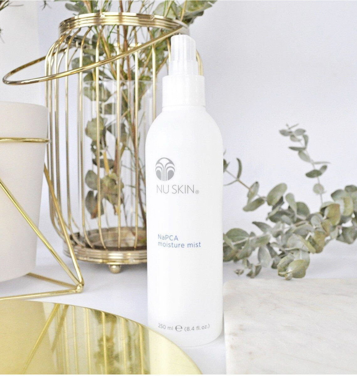 Moisture Mist (NaPCA)
