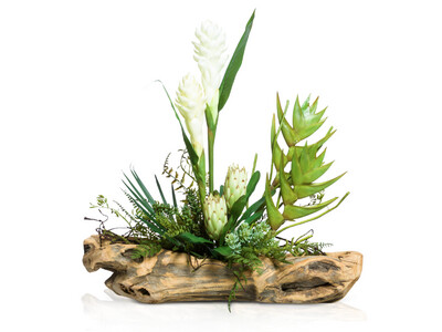 Silk-Lifelike Plant, White Tropical Succulent On Wood, Arrangement, White & Green