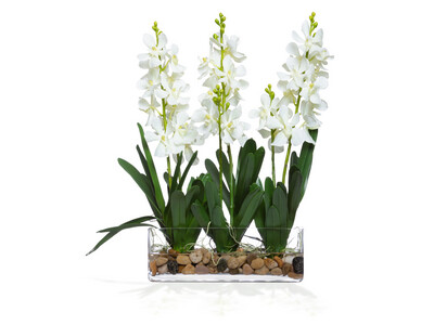 Silk Plant-Lifelike, Orchid, Orchid Vanda in Rect Bowl, Arrangement, White & Green