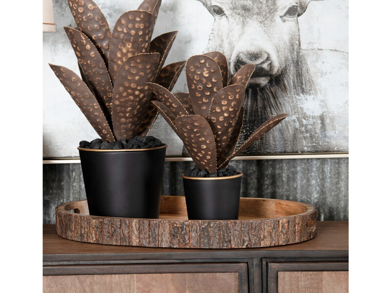 Bark Oval Single Rustic Wooden Trays, Available in Two Different Sizes