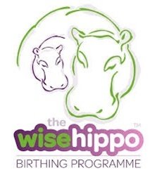 Hypnobirthing - The Wise Hippo Birthing Programme 10h course