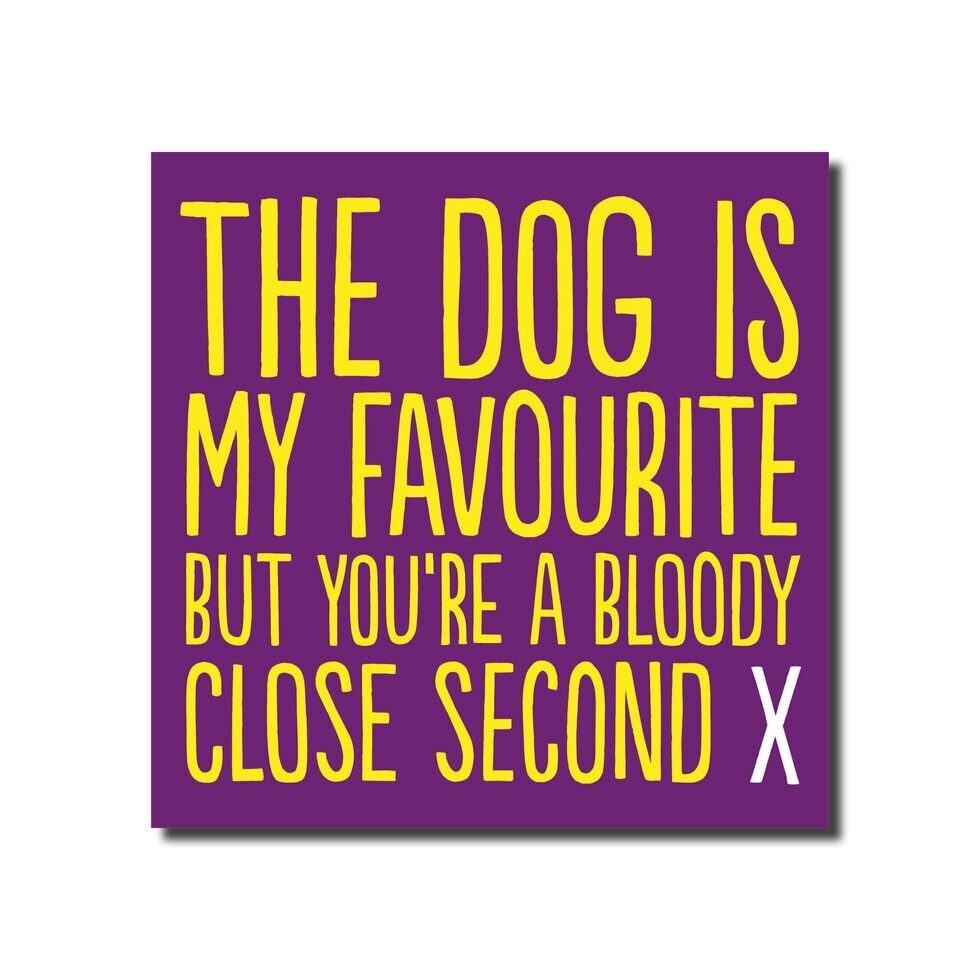 Dog Favourite