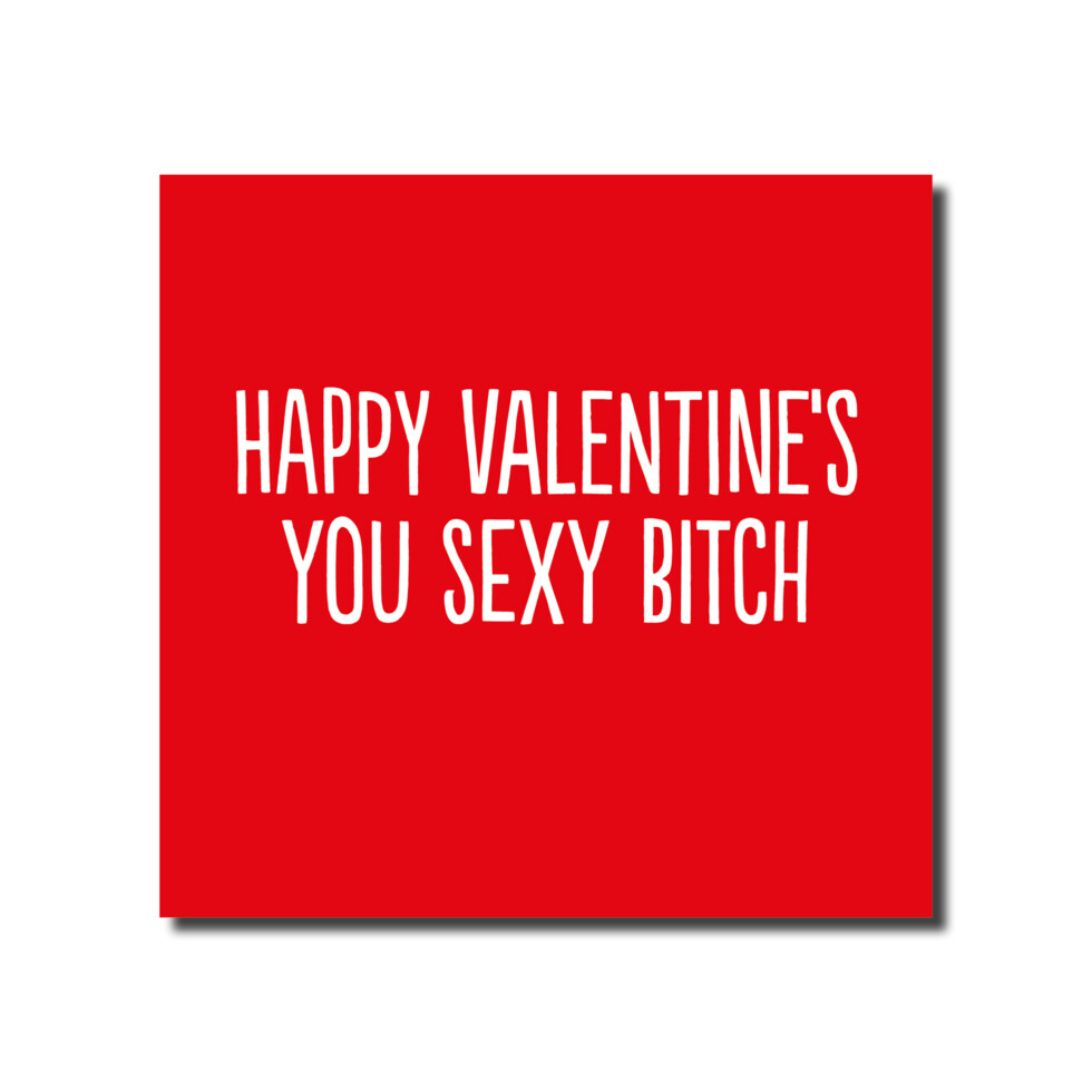 Happy Valentine&#39;s Day You Sexy Bitch