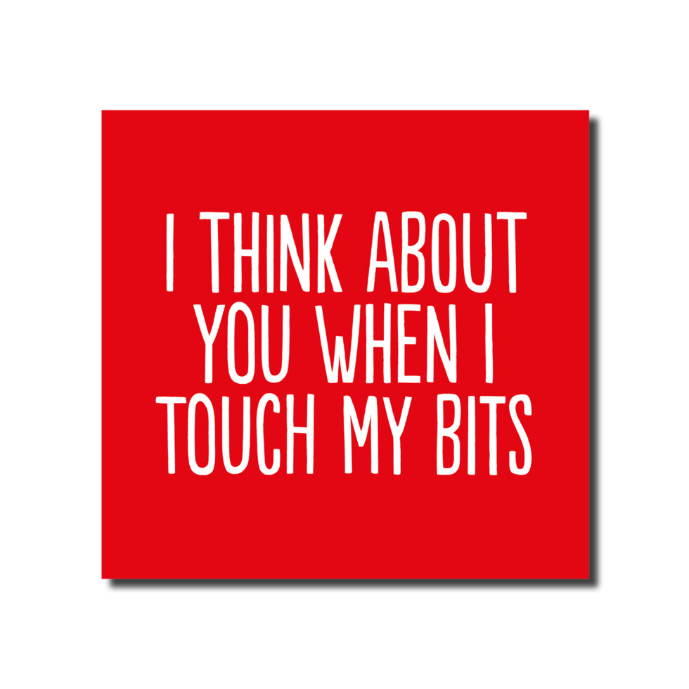 I Think About You When I Touch My Bits