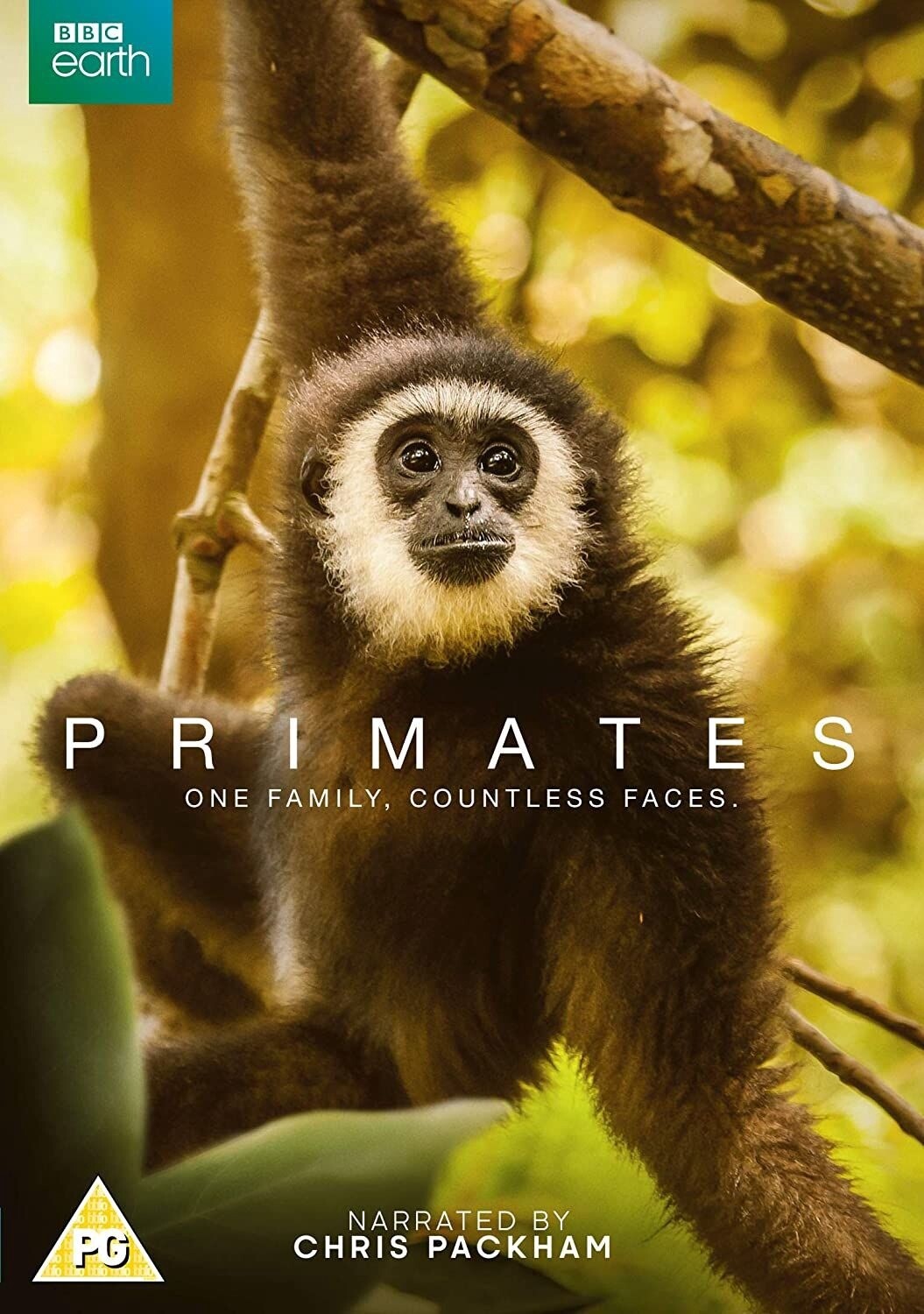 Primates BBC
