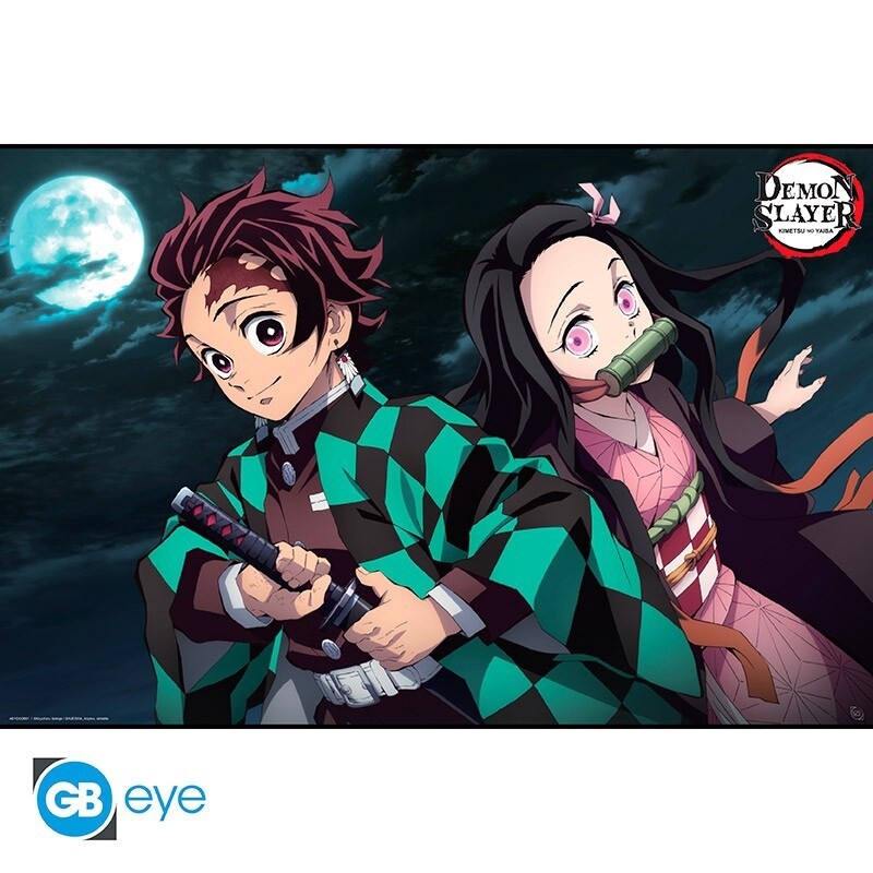 Demon Slayer Tanjiro &amp; Mezuko Maxi Poster (A21)