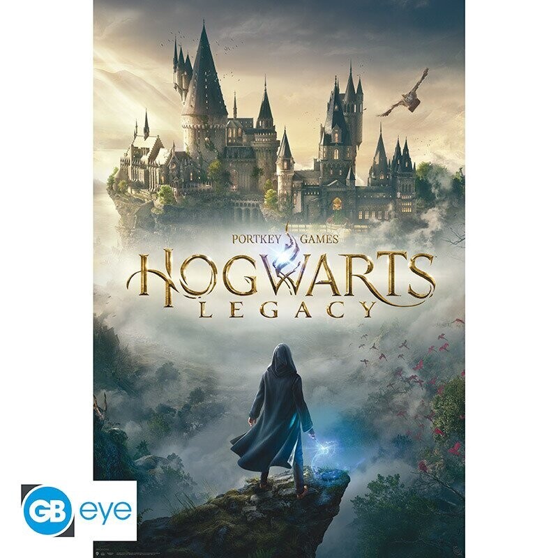 Harry Potter - Hogwarts Legacy Maxi Poster