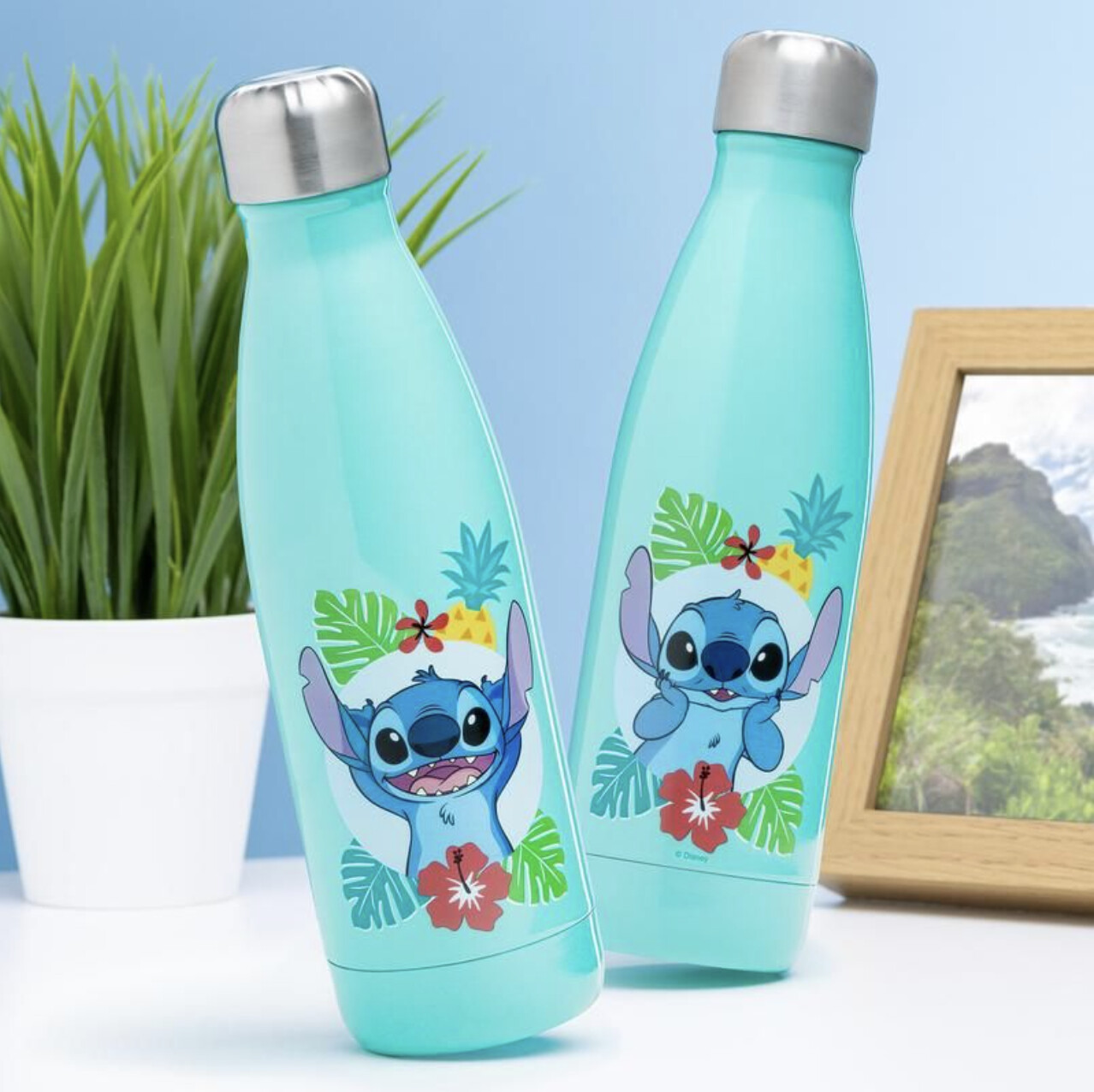 Stitch Metal Water Bottle