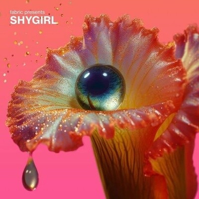 Various Artists | Fabric Presents Shygirl | CD 739