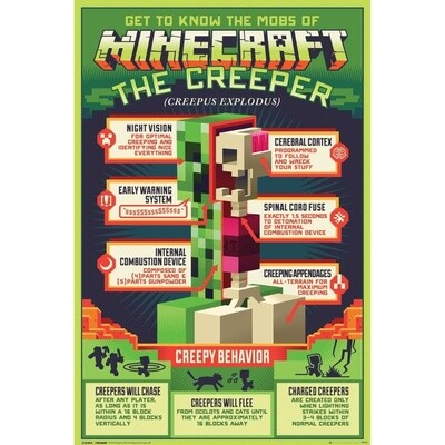Creepy Behaviour Minecraft Maxi Poster